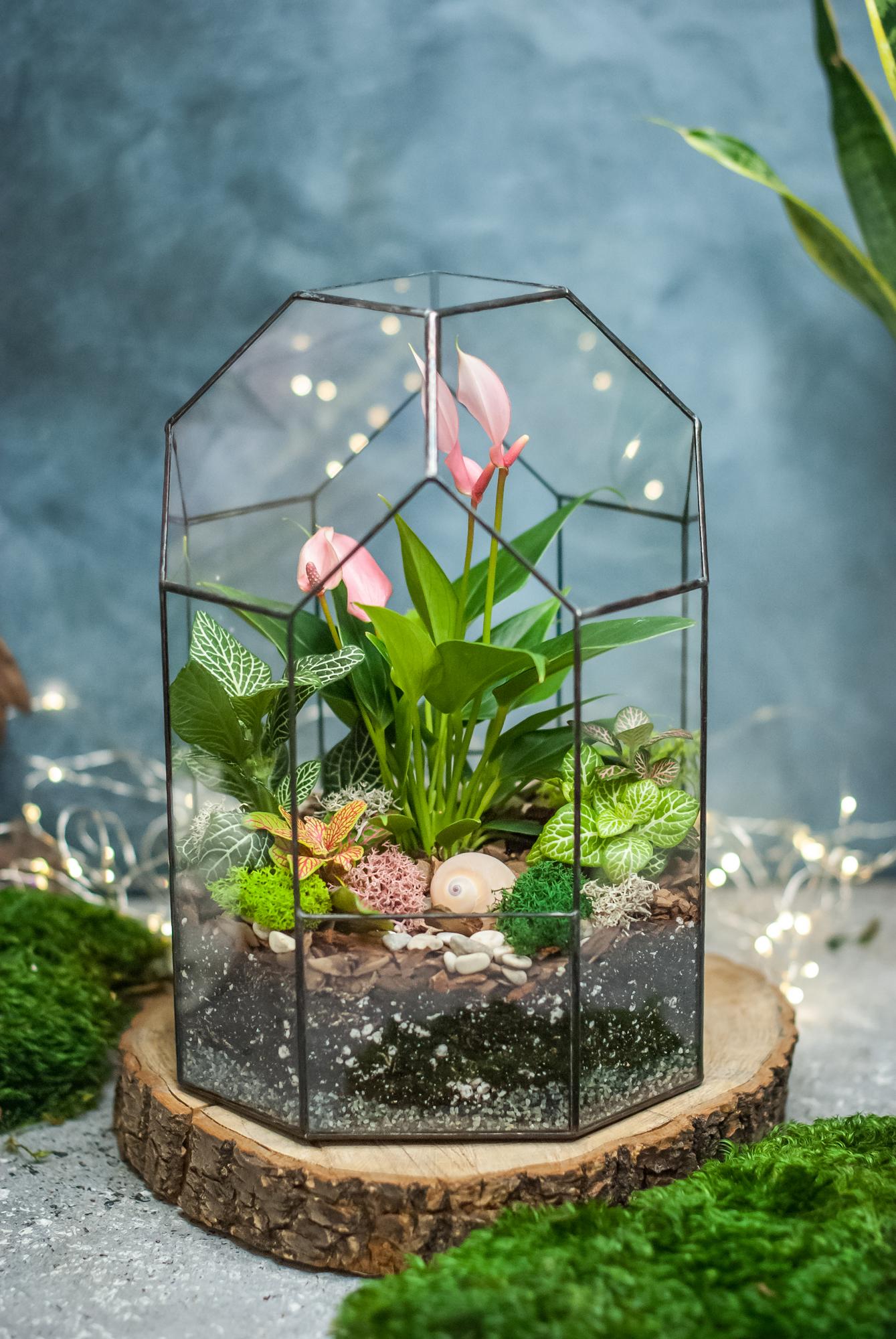 Бонсариум 27 см. с антуриумом