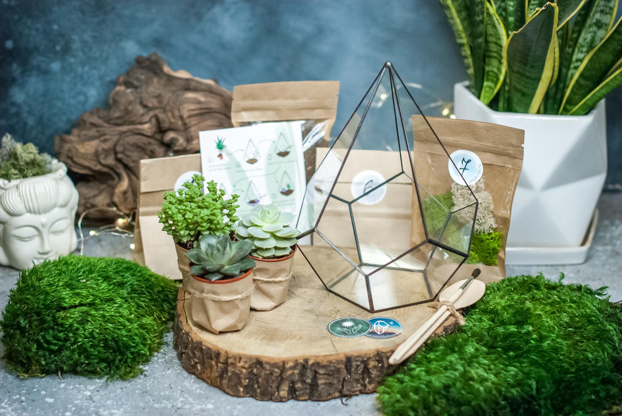 Набор "Собери Сам. Размер формы М"