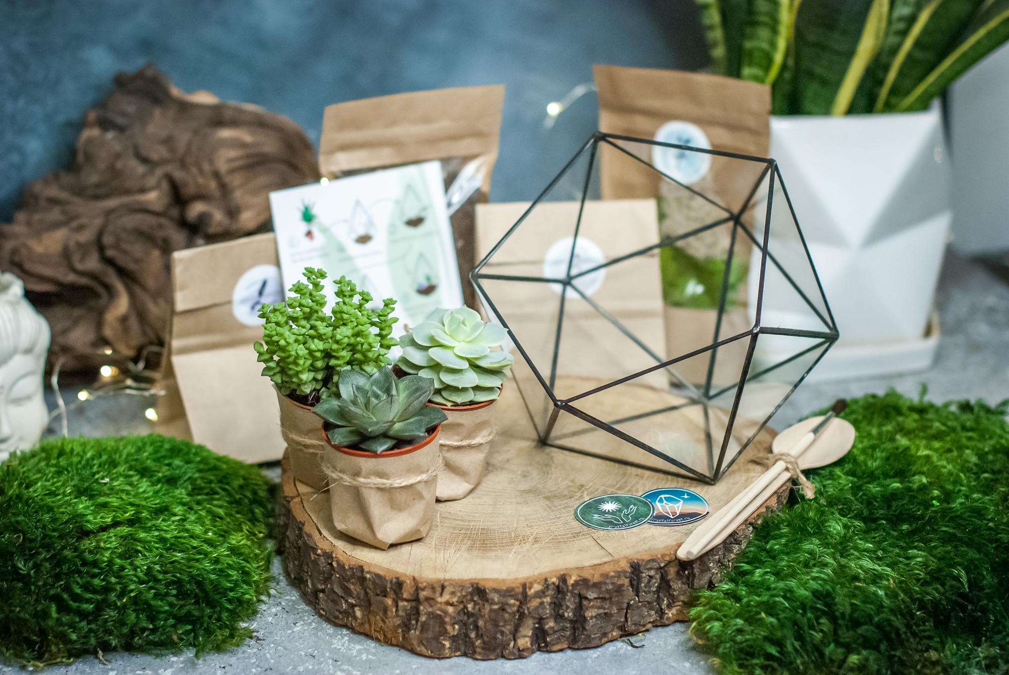 Набор "Собери Сам. Размер формы М"