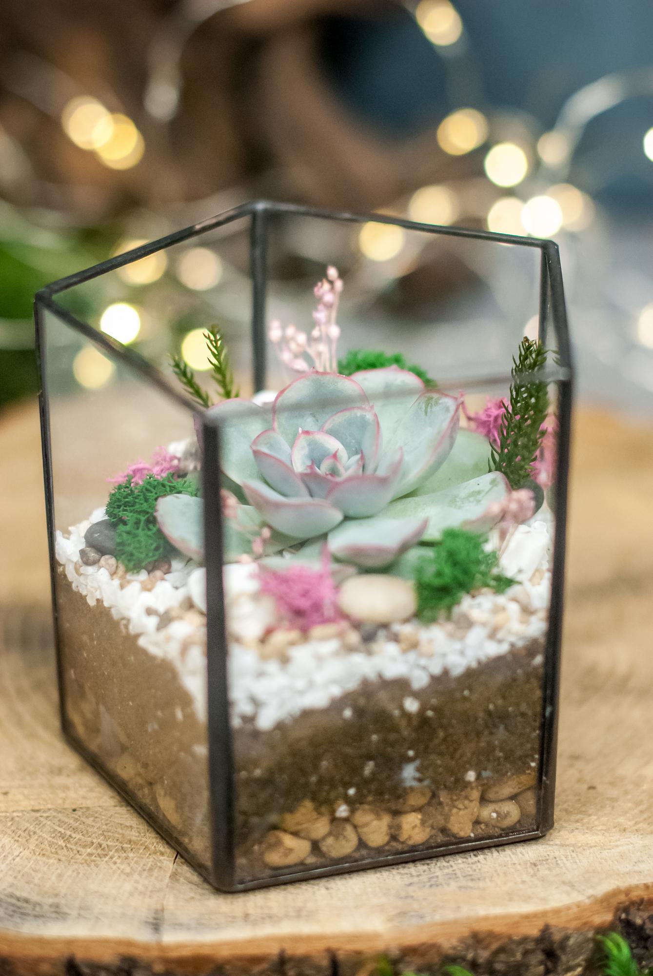 Призма с эхеверией