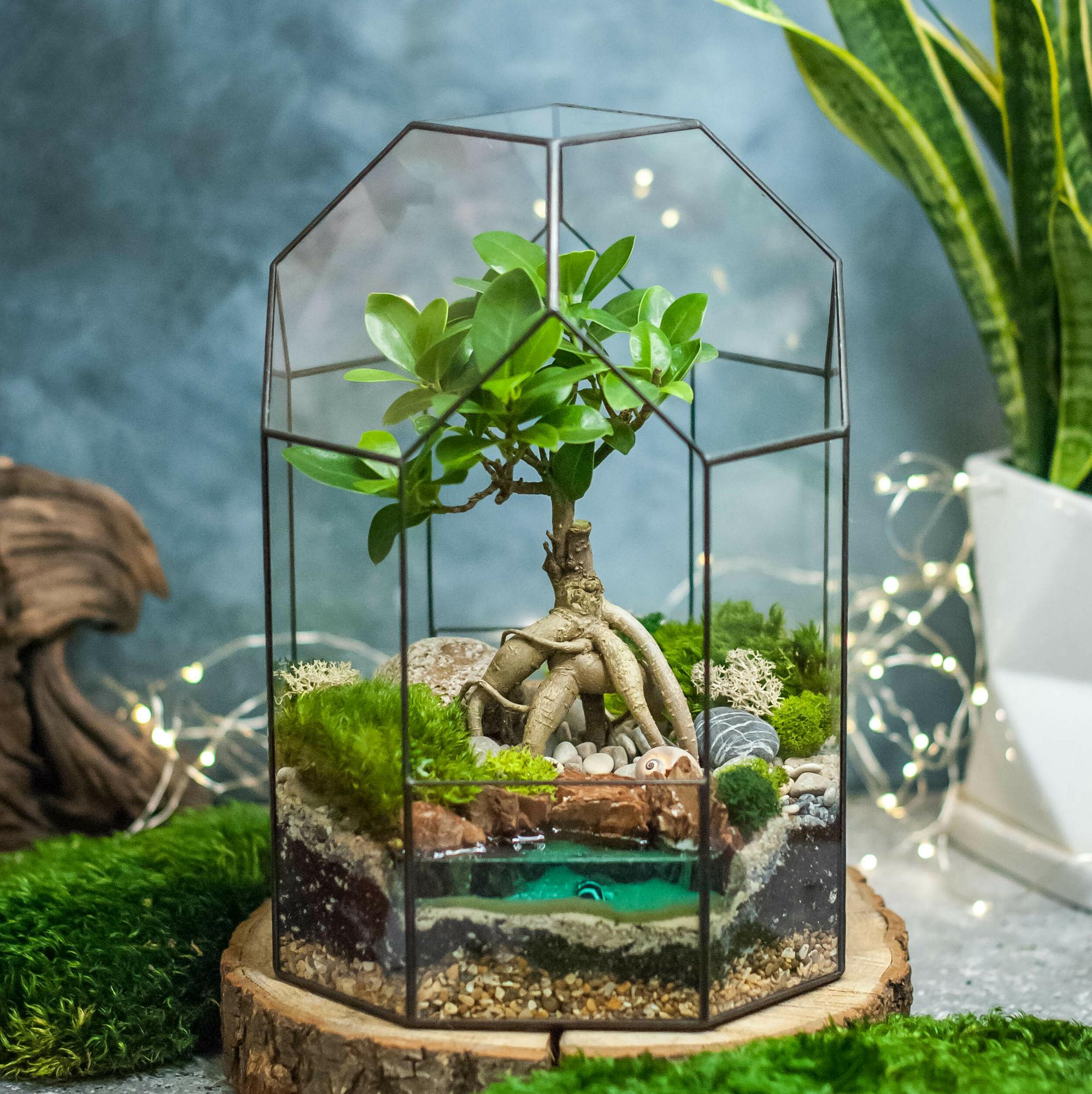 Бонсариум 27 см с бонсаем и водоёмом