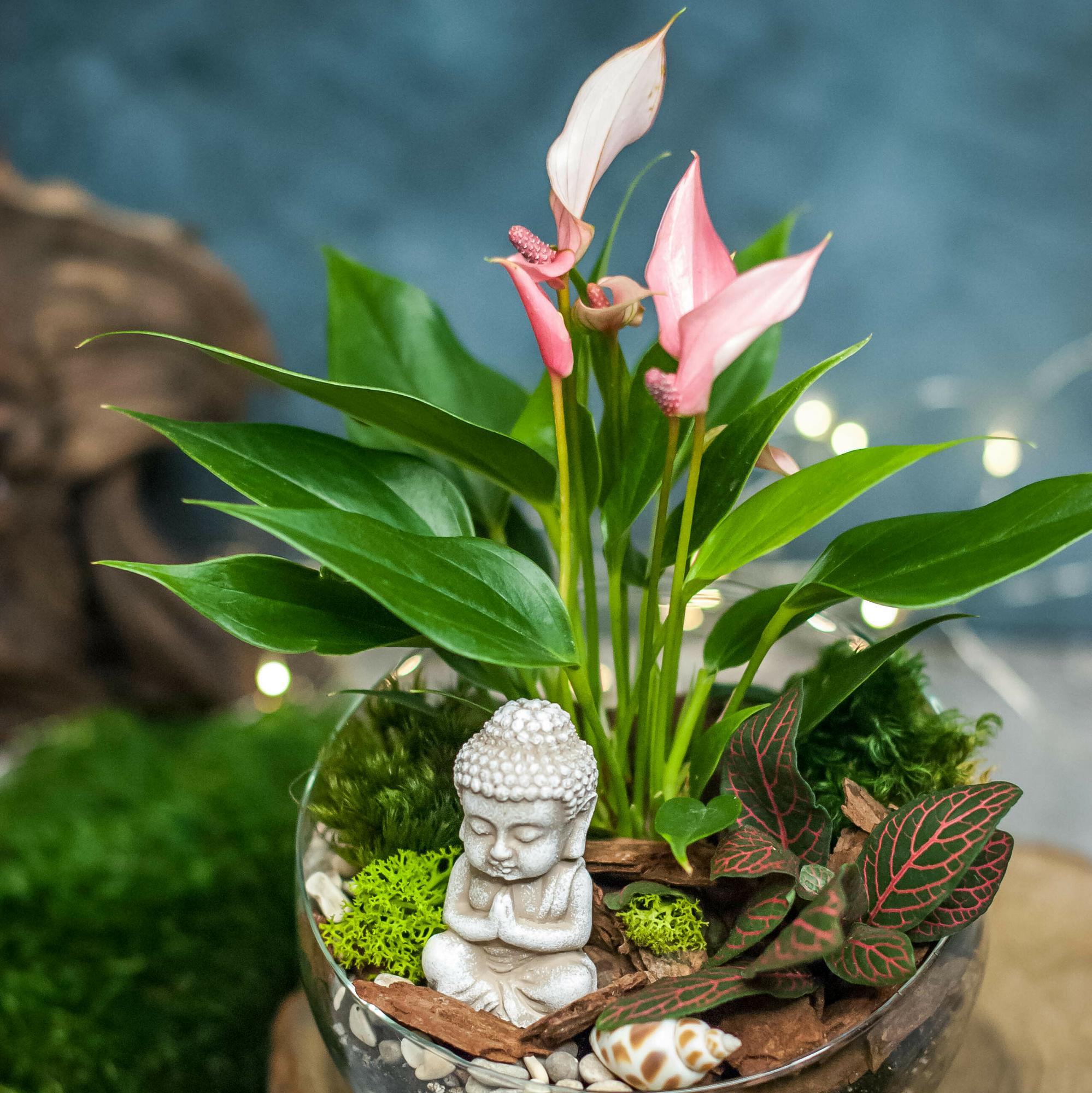 Полусфера с Антуриумом M L