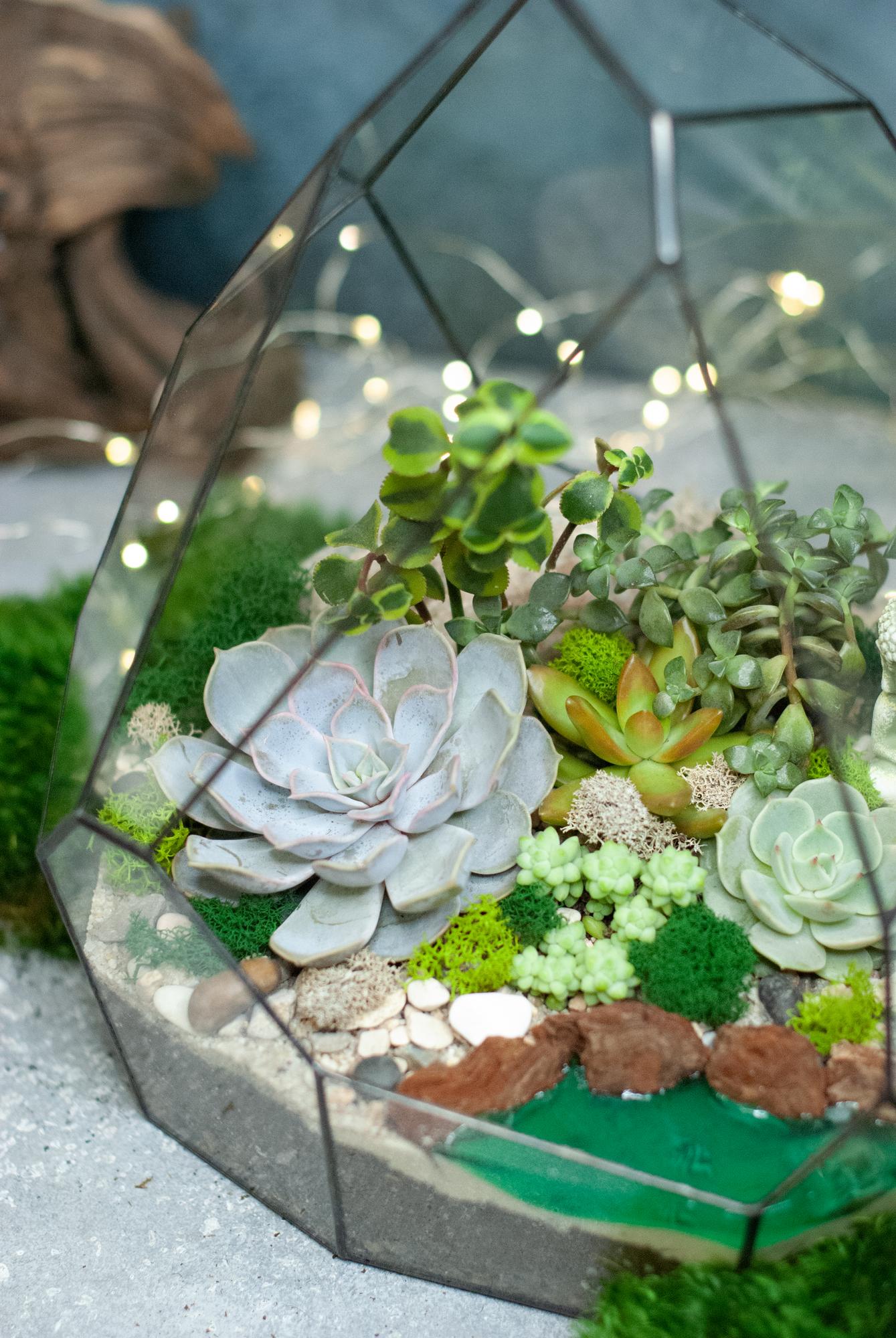 Флорариум Стоун с суккулентами