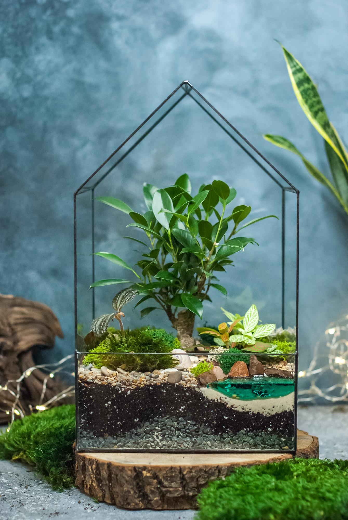 Бонсариум Домик с фикусом Ретуса и озером