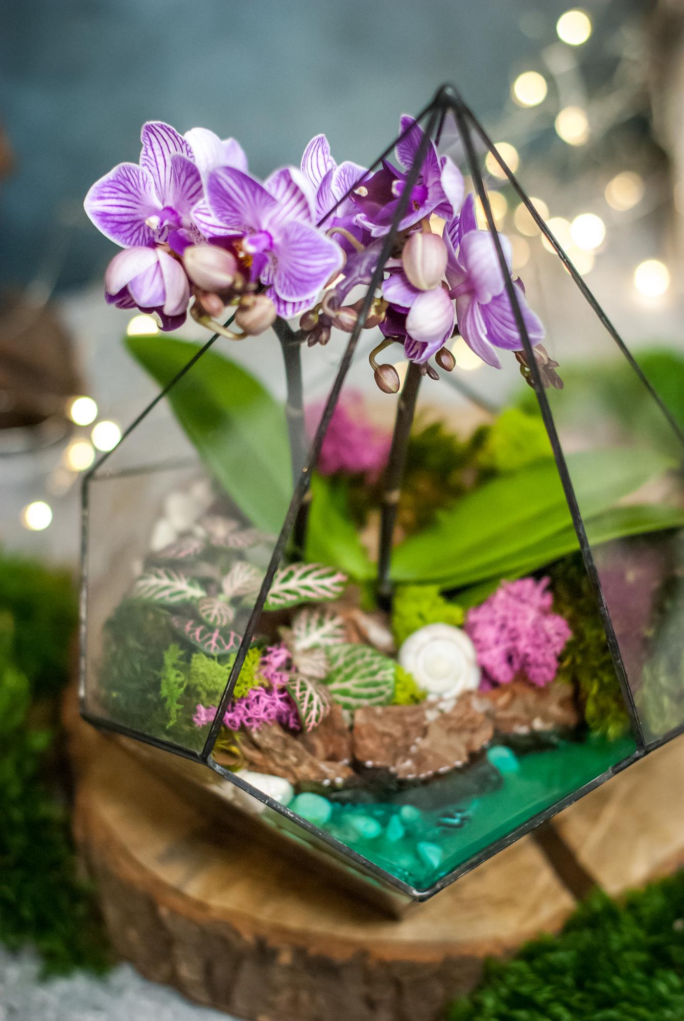 Капля c орхидеей и озером L, XL