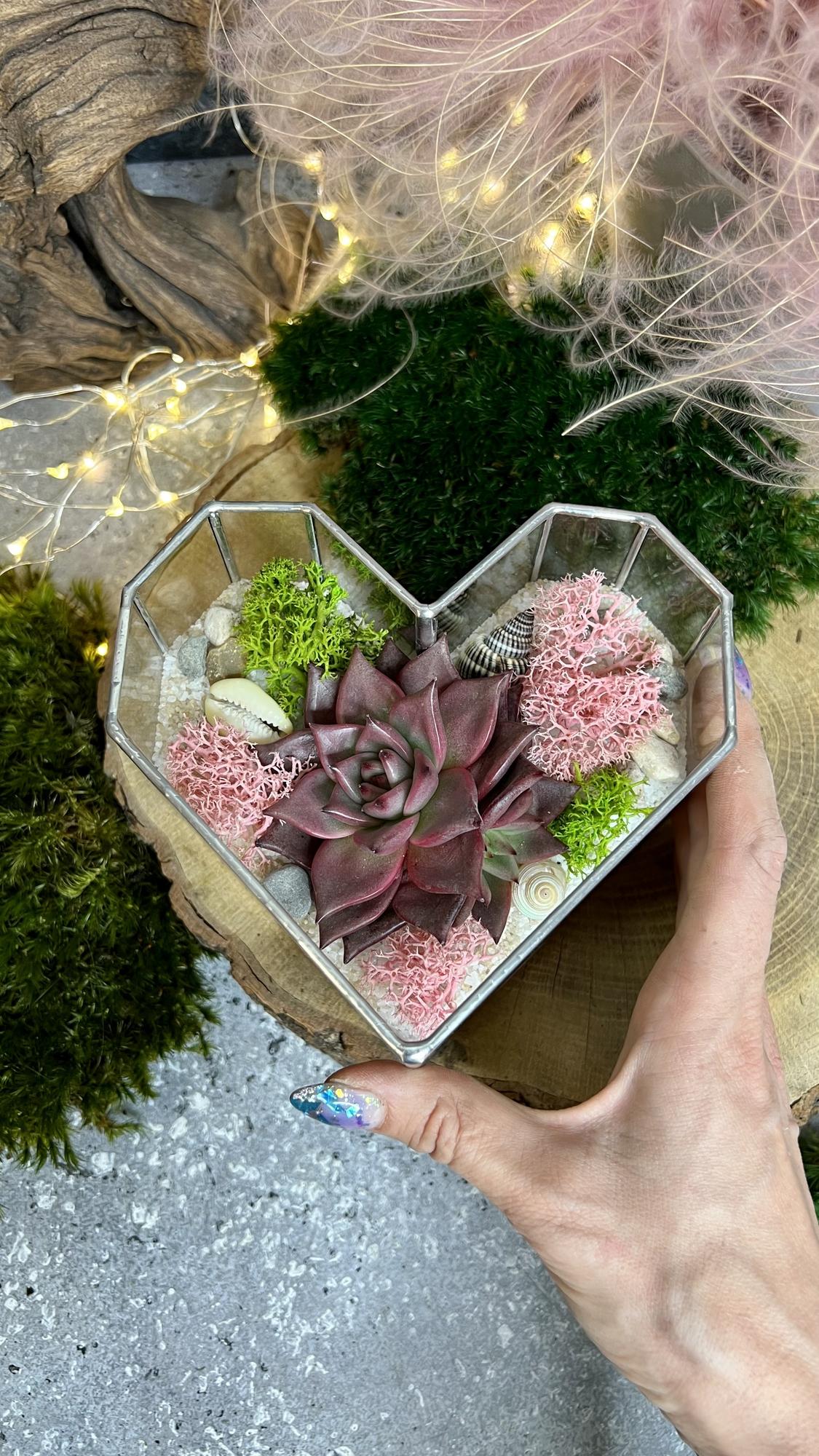 Сердце с суккулентами S