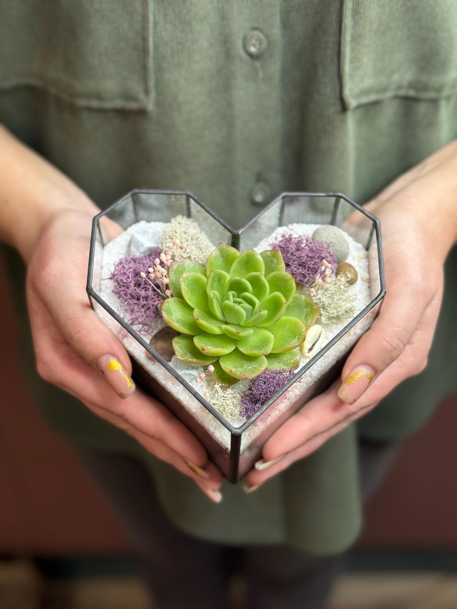 Сердце с суккулентами S