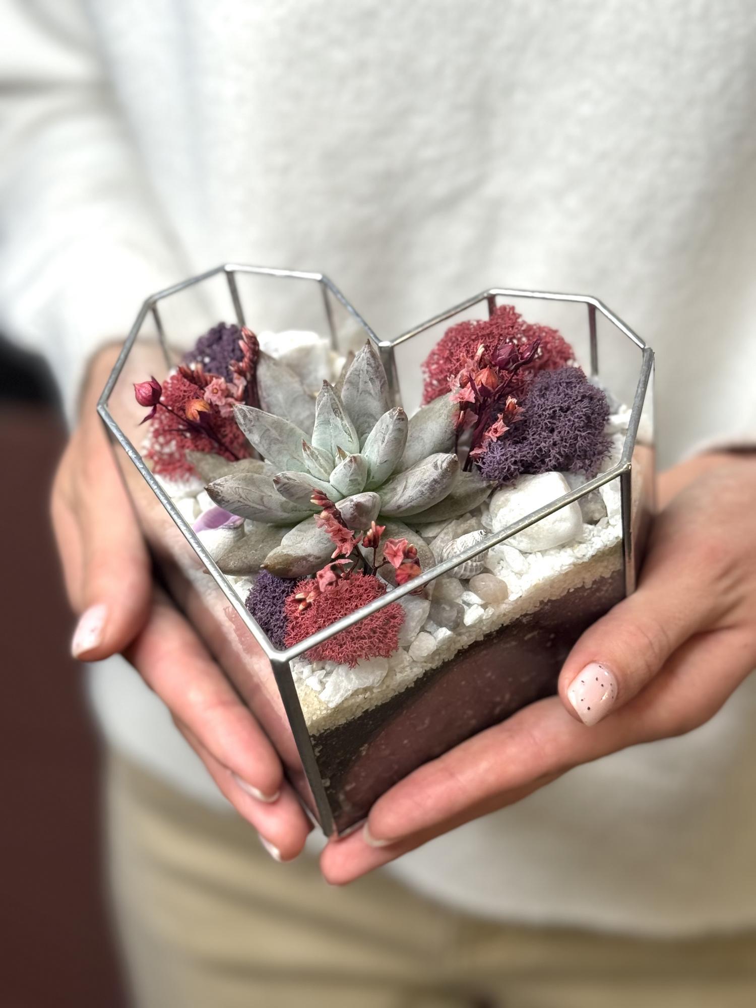 Сердце с суккулентами S