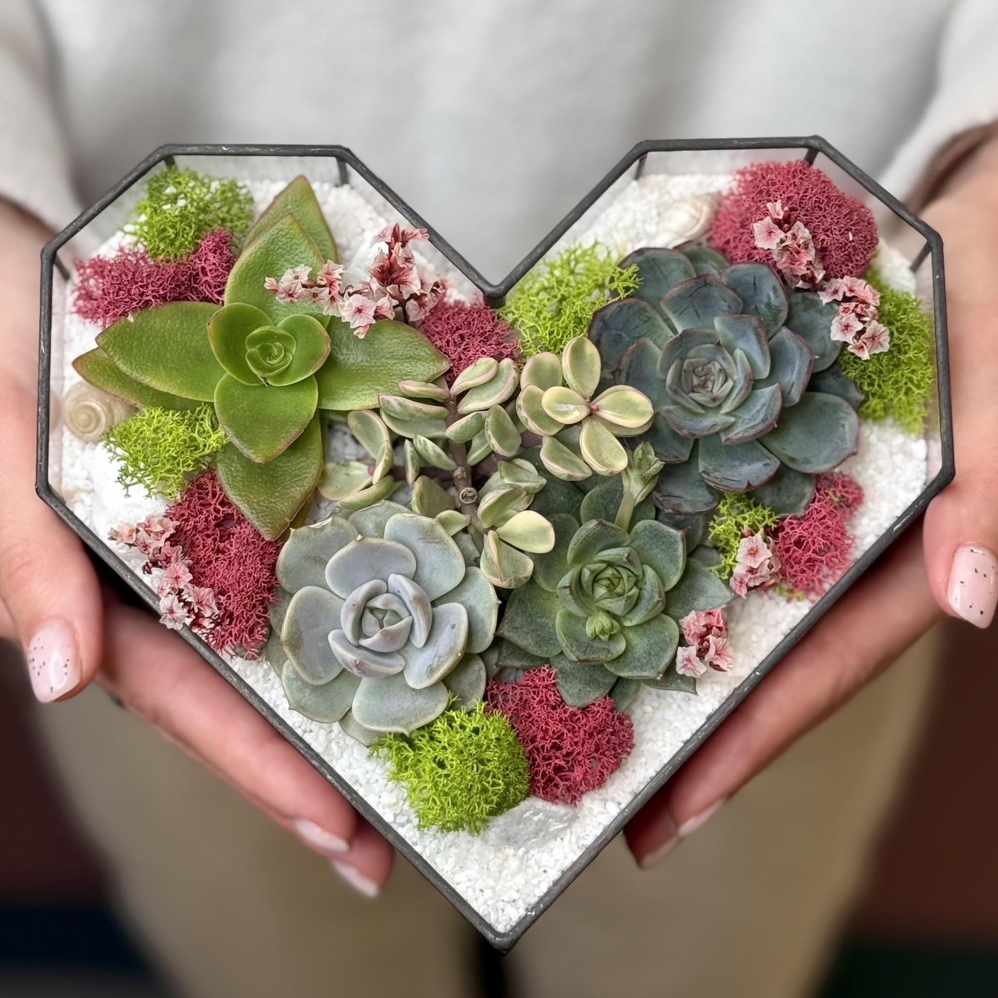 Сердце с суккулентами M