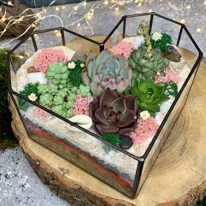 Сердце с суккулентами M