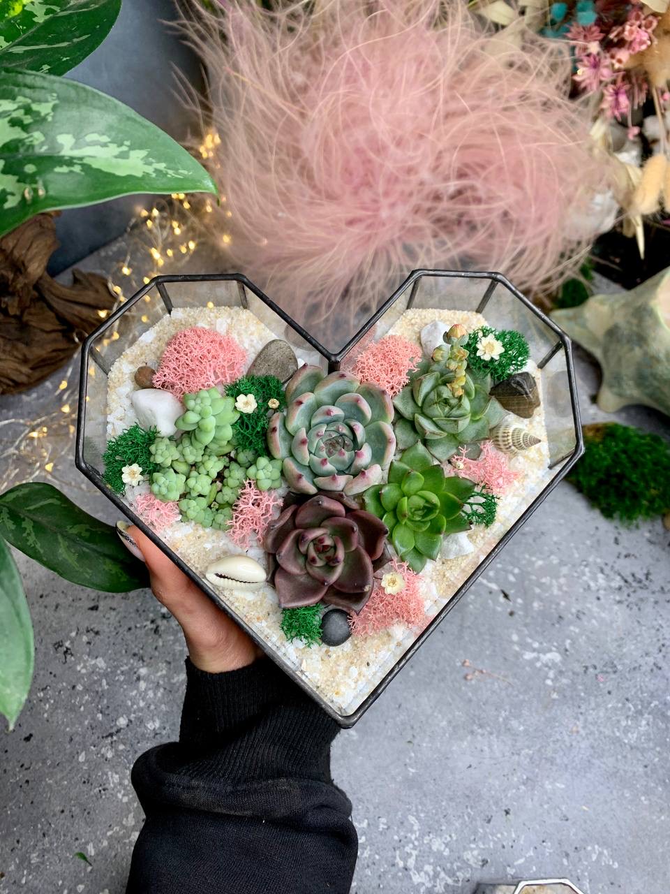 Сердце с суккулентами M