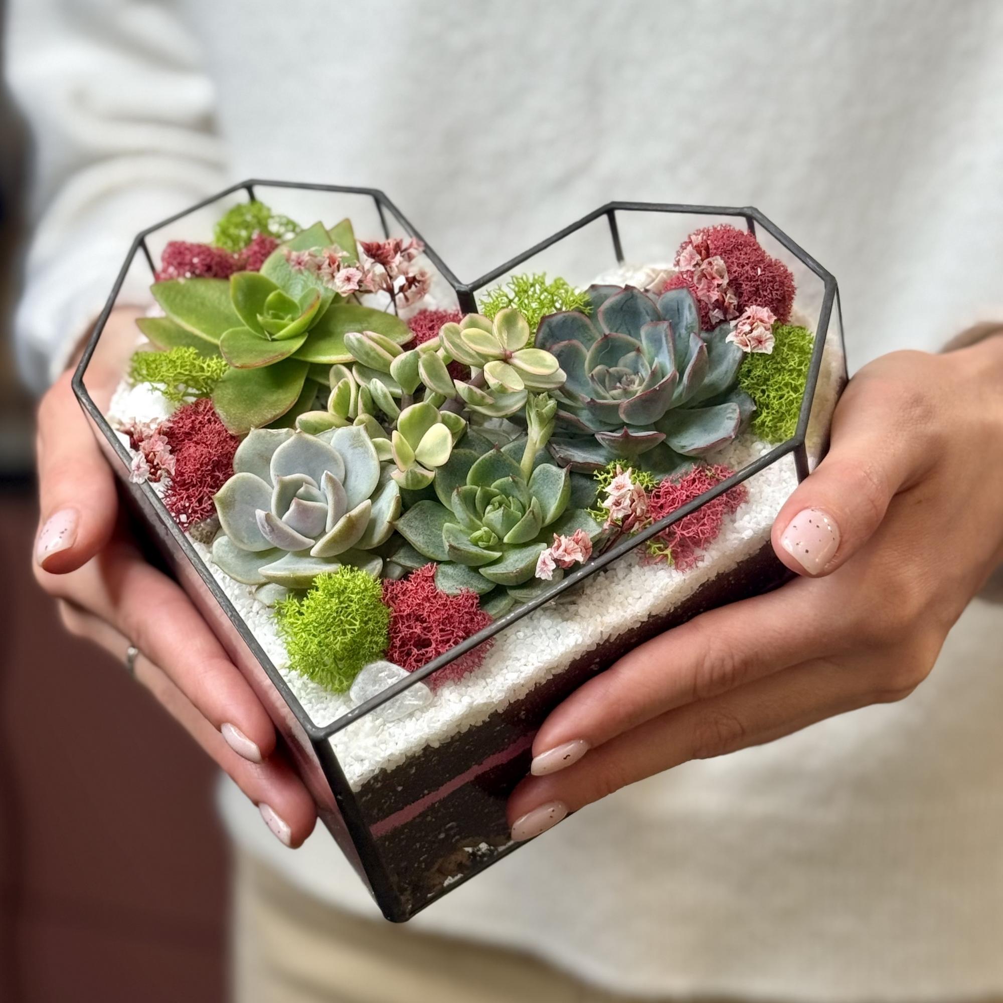 Сердце с суккулентами M