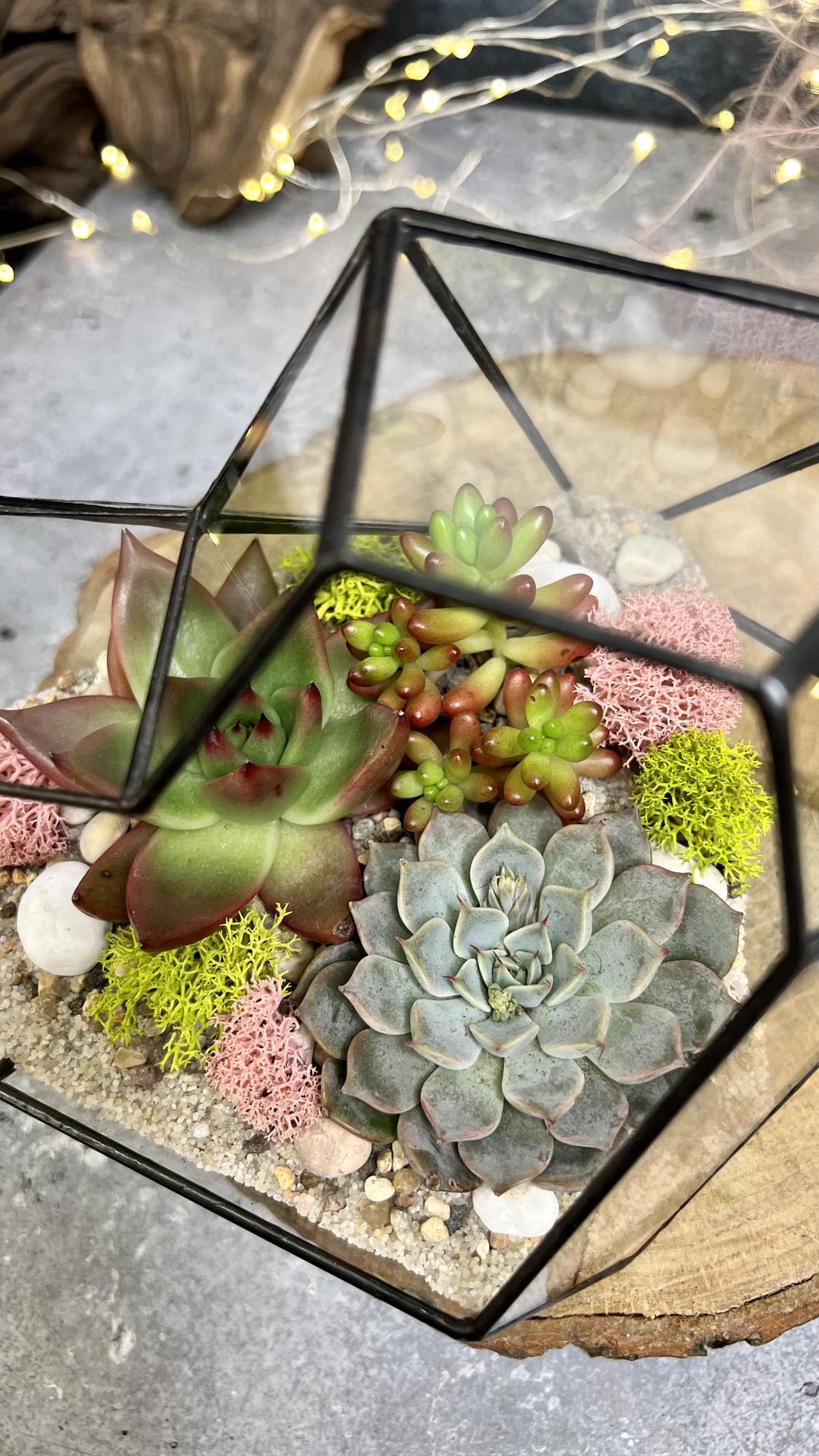 Сердце многогранное