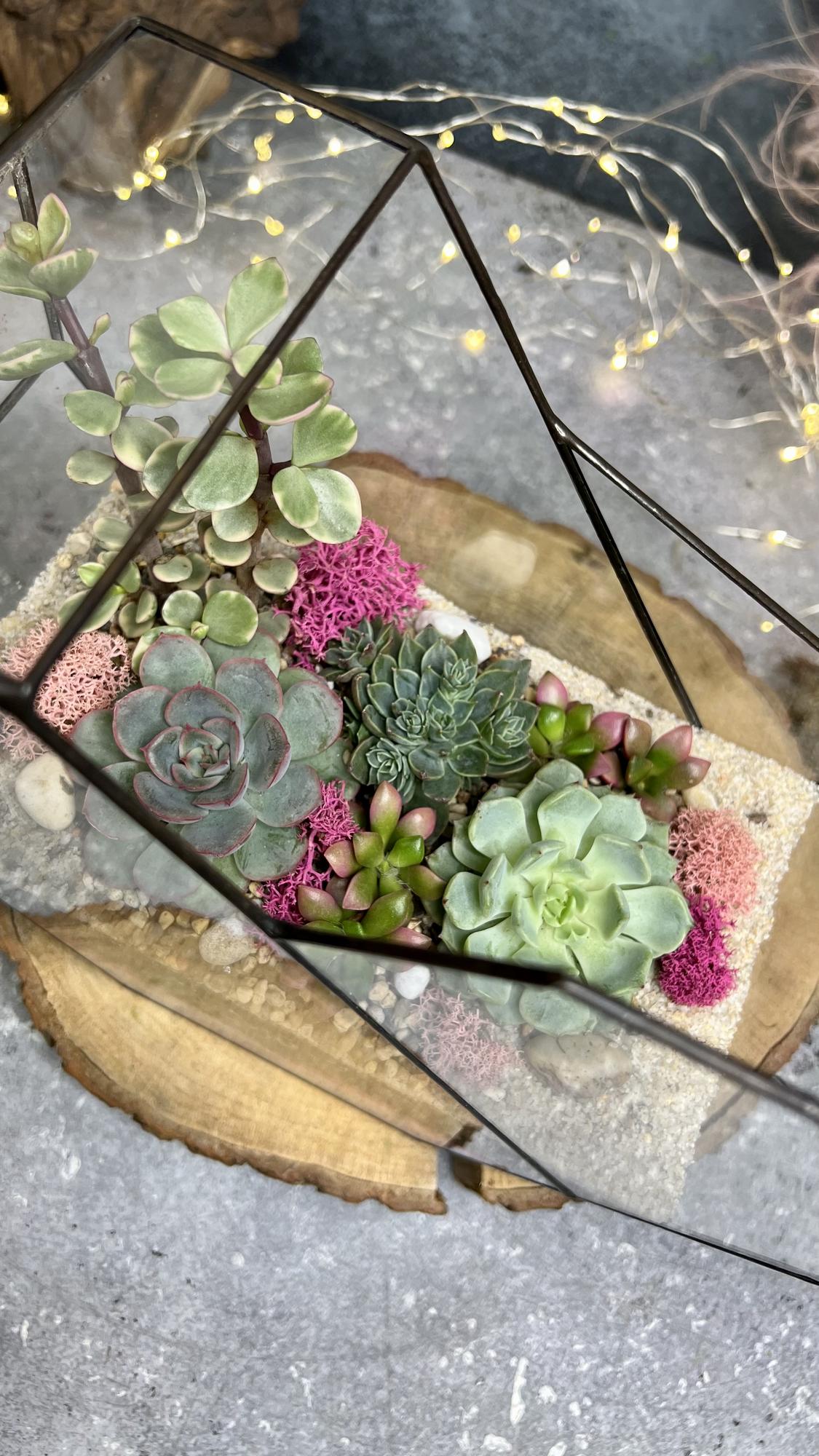 Сердце с суккулентами L