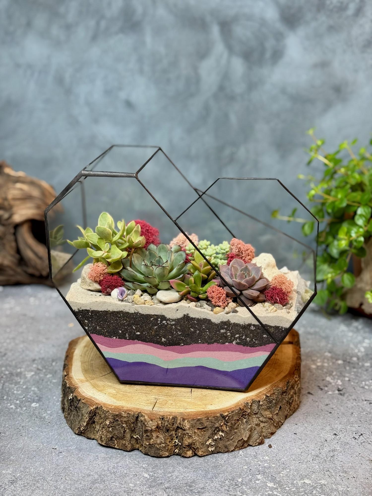 Сердце с суккулентами L