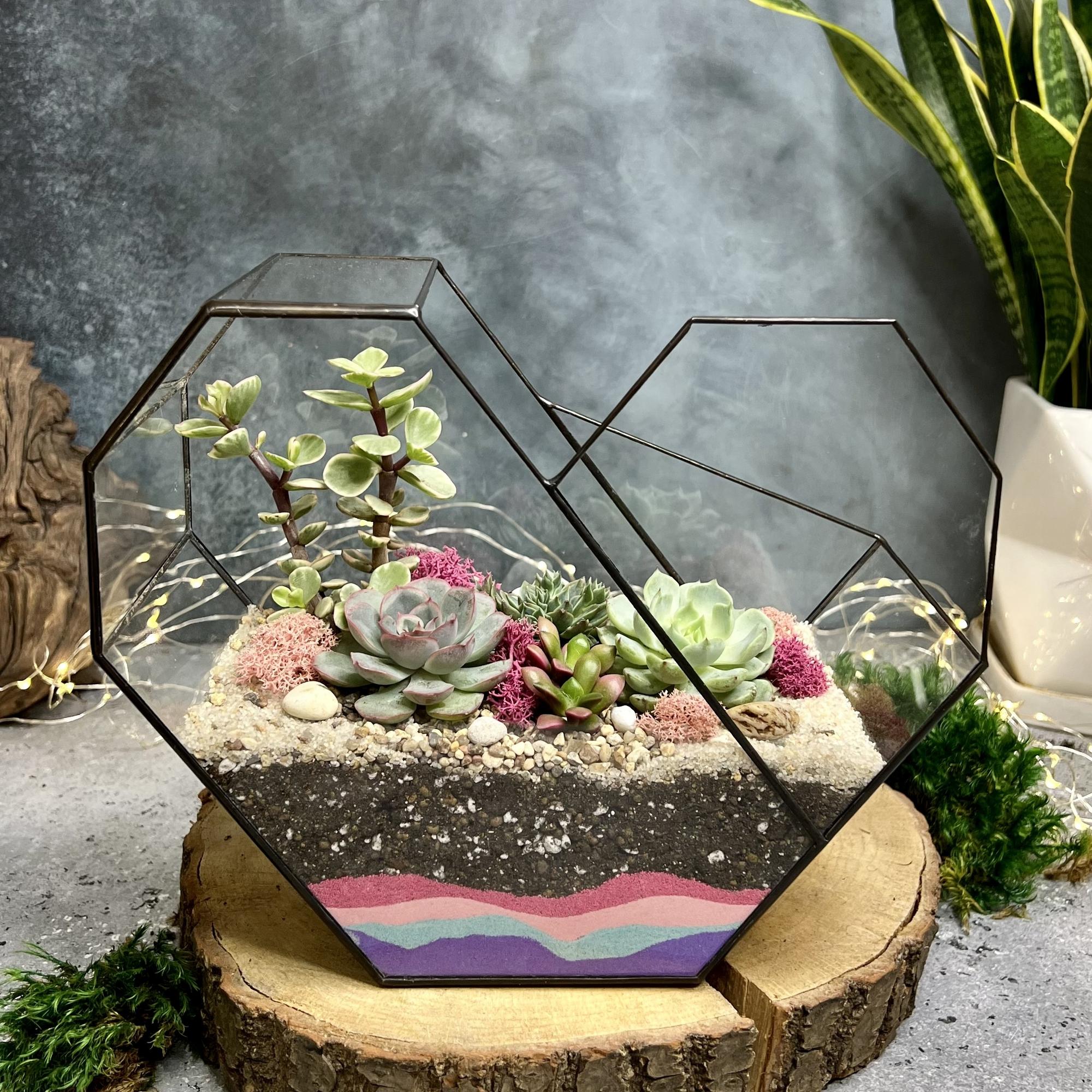 Сердце с суккулентами L