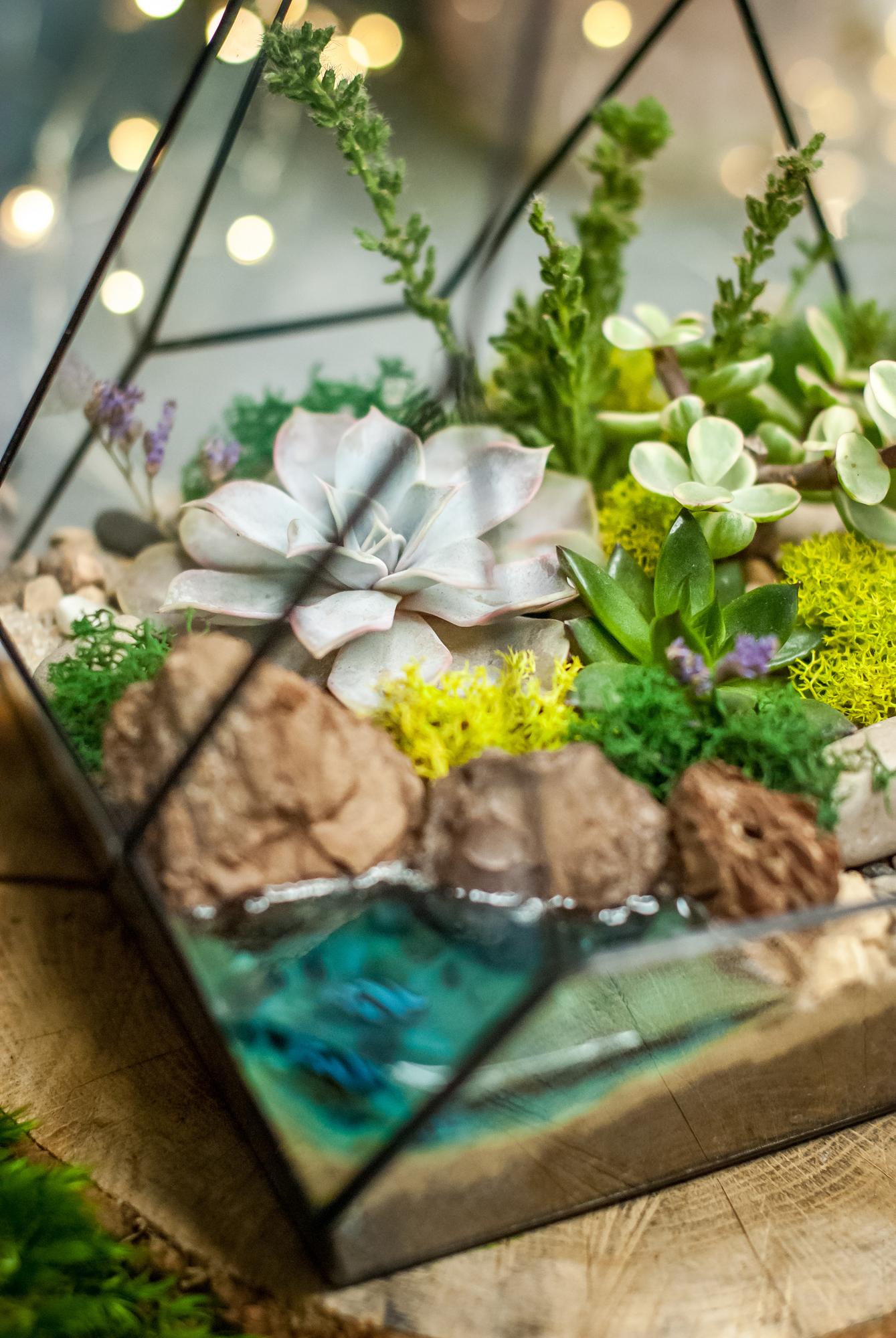 Флорариум Скала с суккулентами