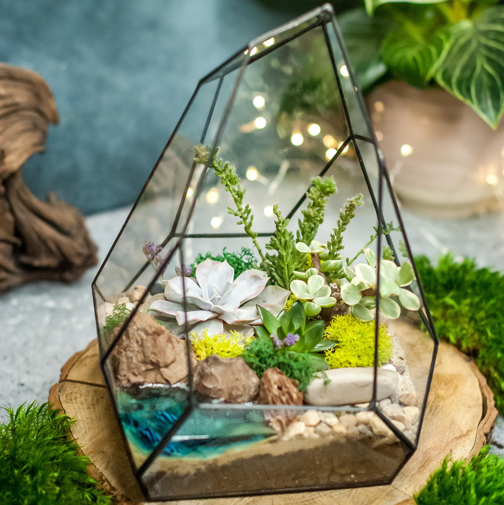Флорариум Скала с суккулентами