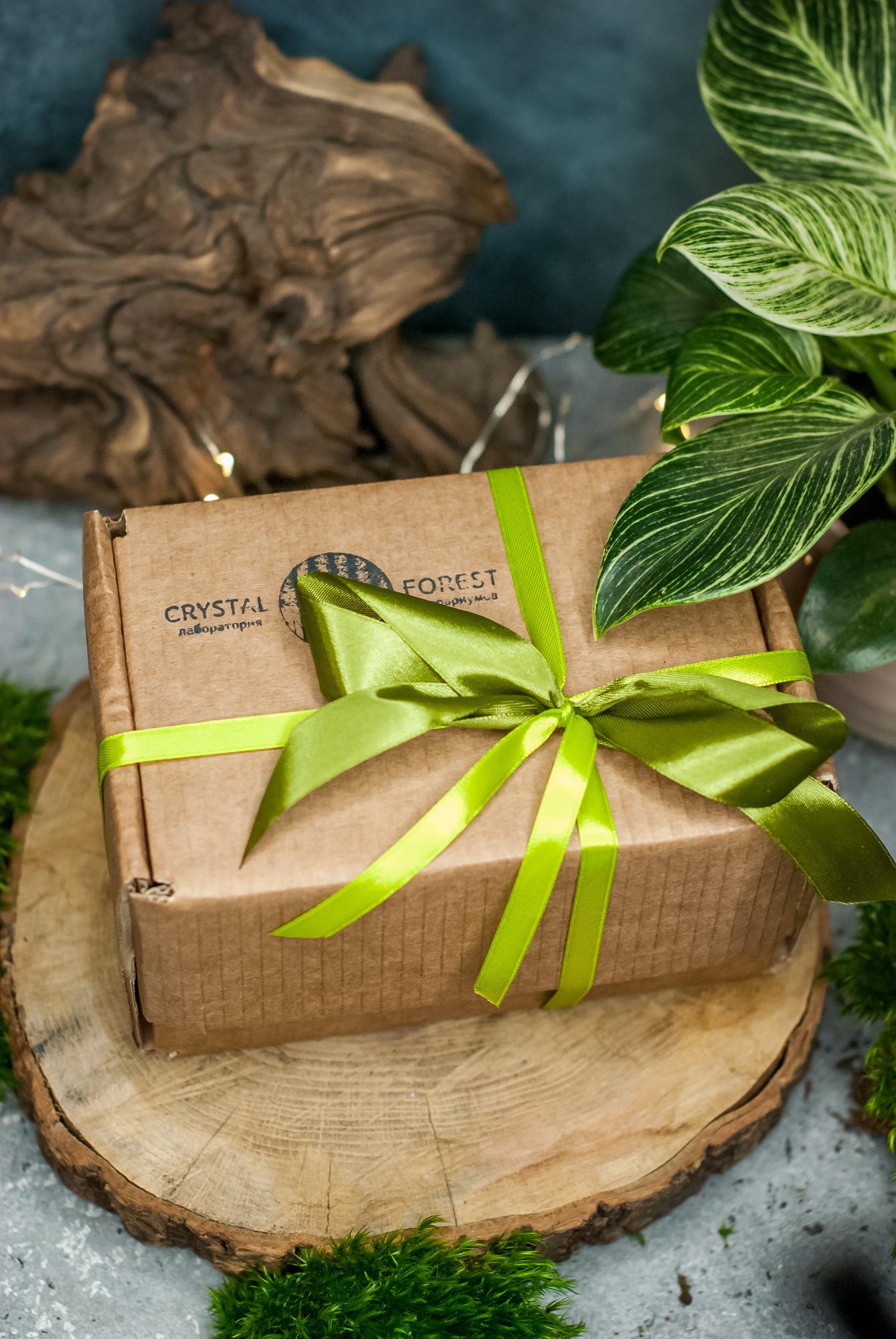 Набор с тенеустойчивыми суккулентами