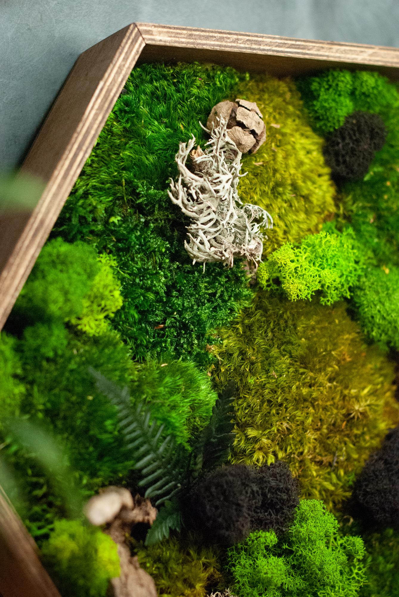 Панно со стабилизированным мхом