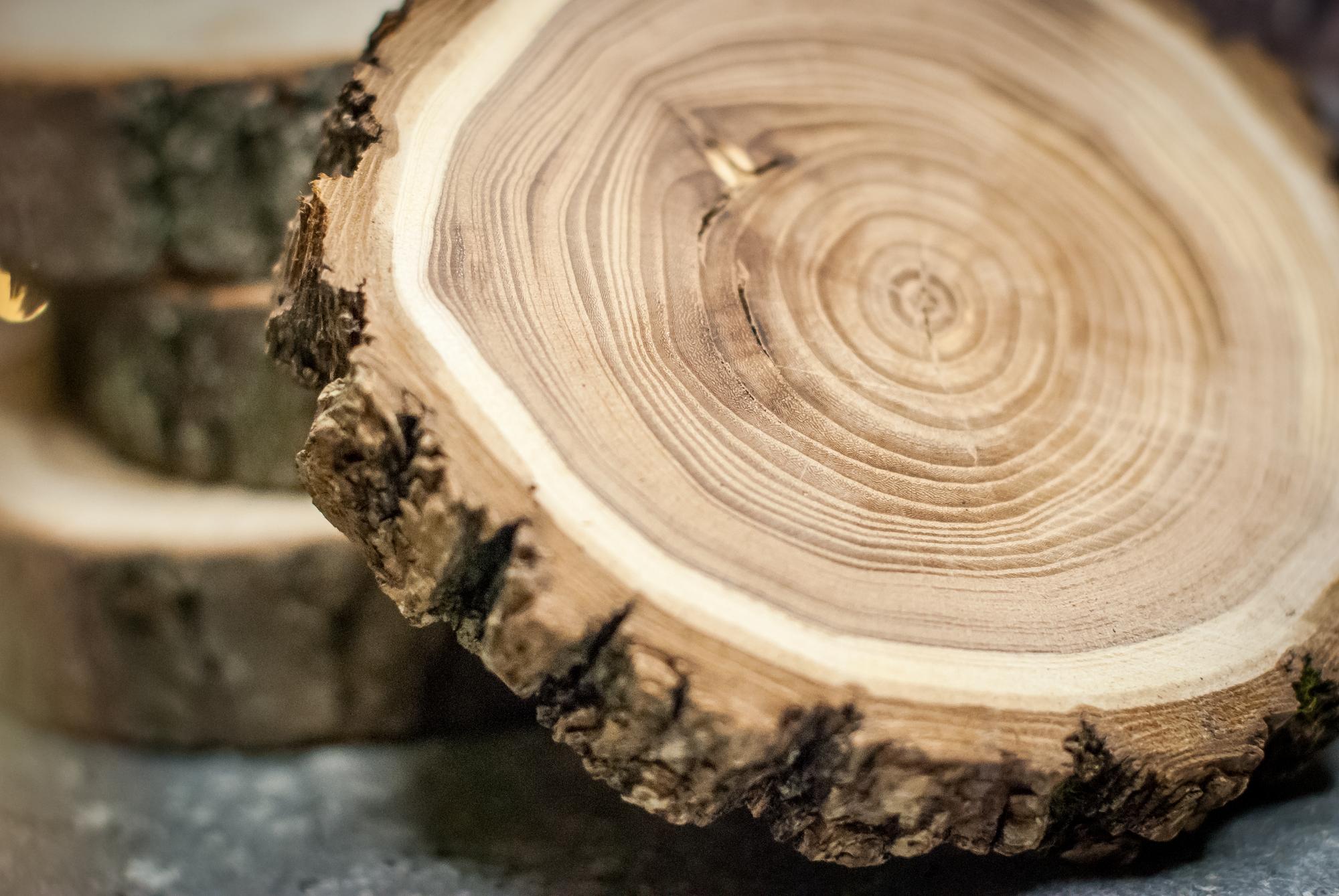 Деревянный спил