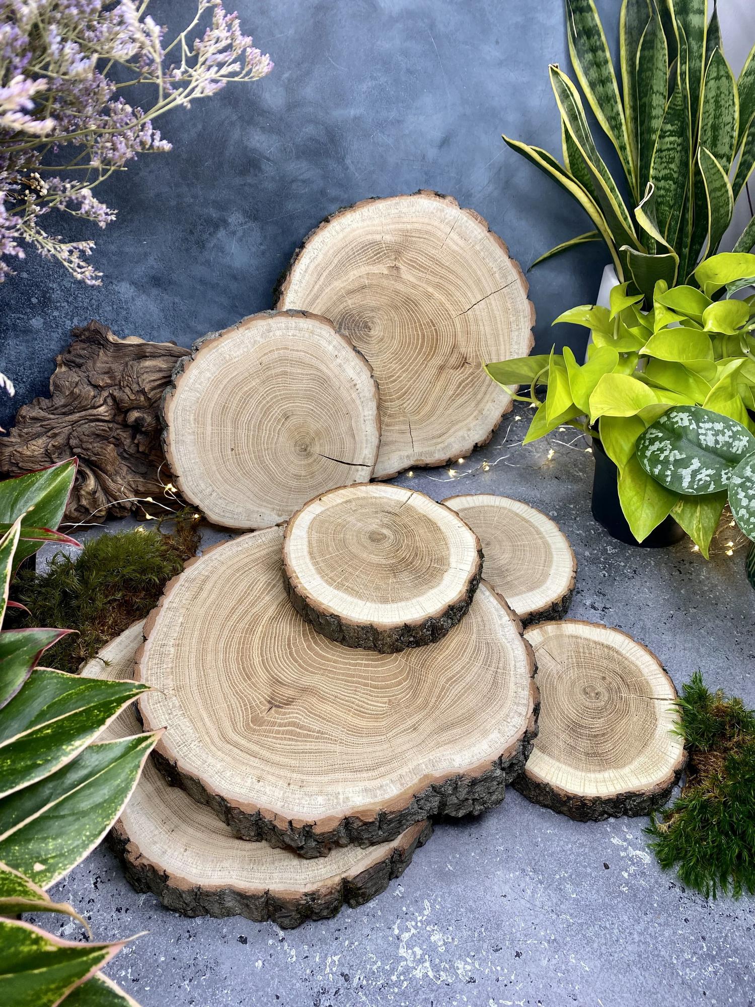 Деревянный спил