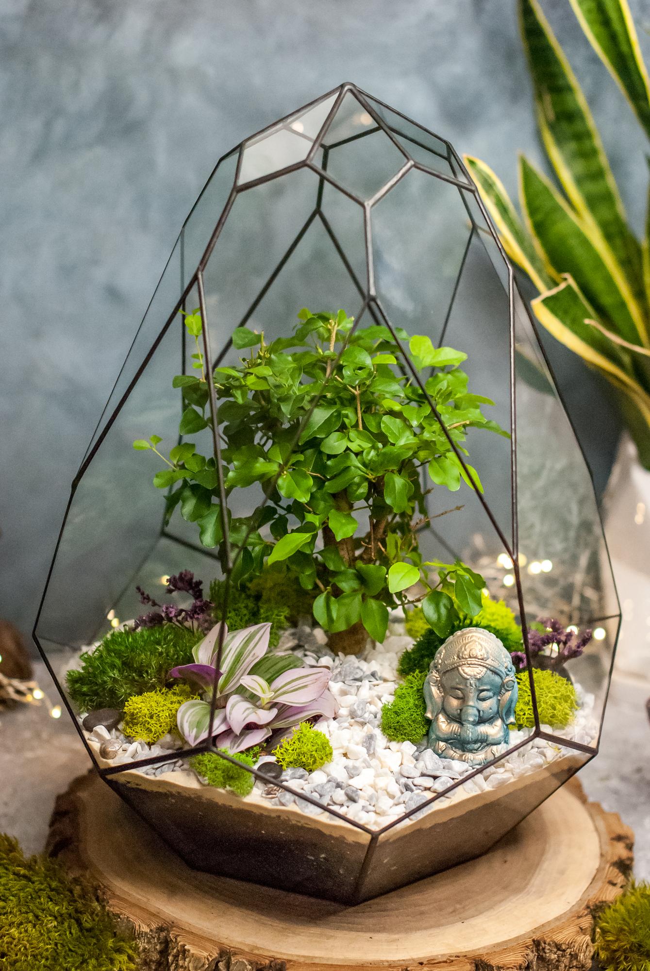 Сириус 40 см с Лигиструмом и традесканцией