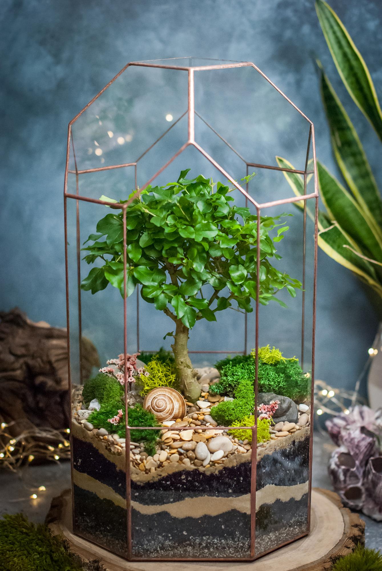 Бонсариум 45 см с Лигиструмом