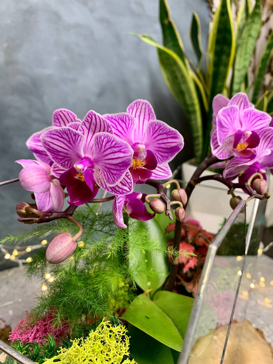 Сердце с орхидеей