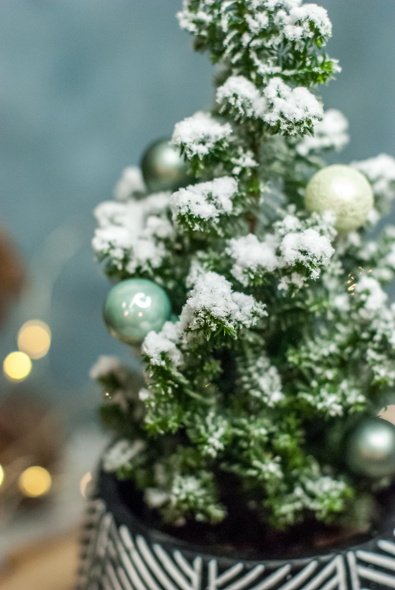 Ёлочка в черно-белом кашпо