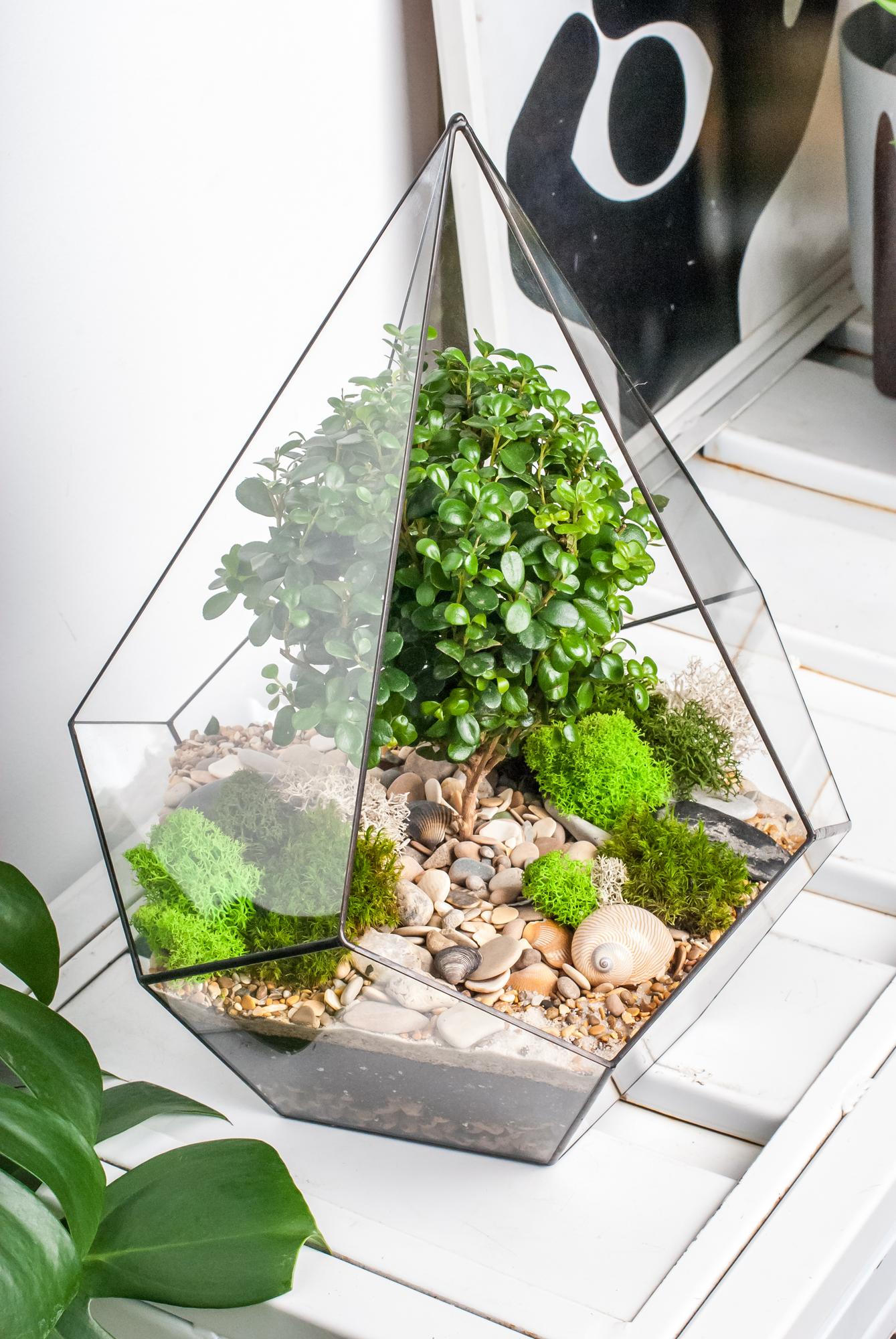 Капля L, XL с мирсиной