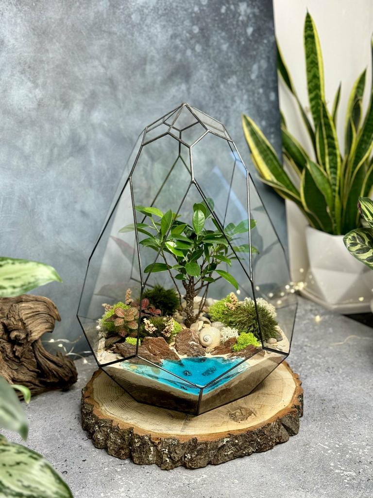 Сириус 40 см с фикусом Ретуса, фиттонией и озером