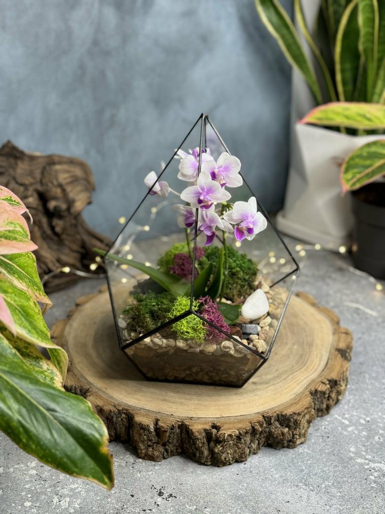 Капля Simple M с орхидеей