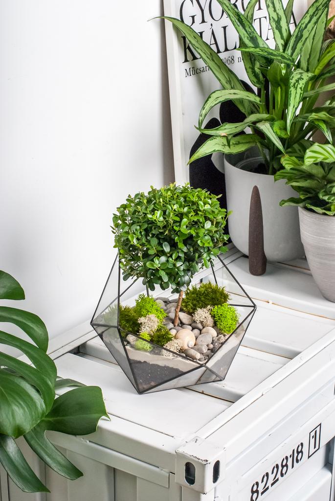 Икосаэдр L с мирсиной