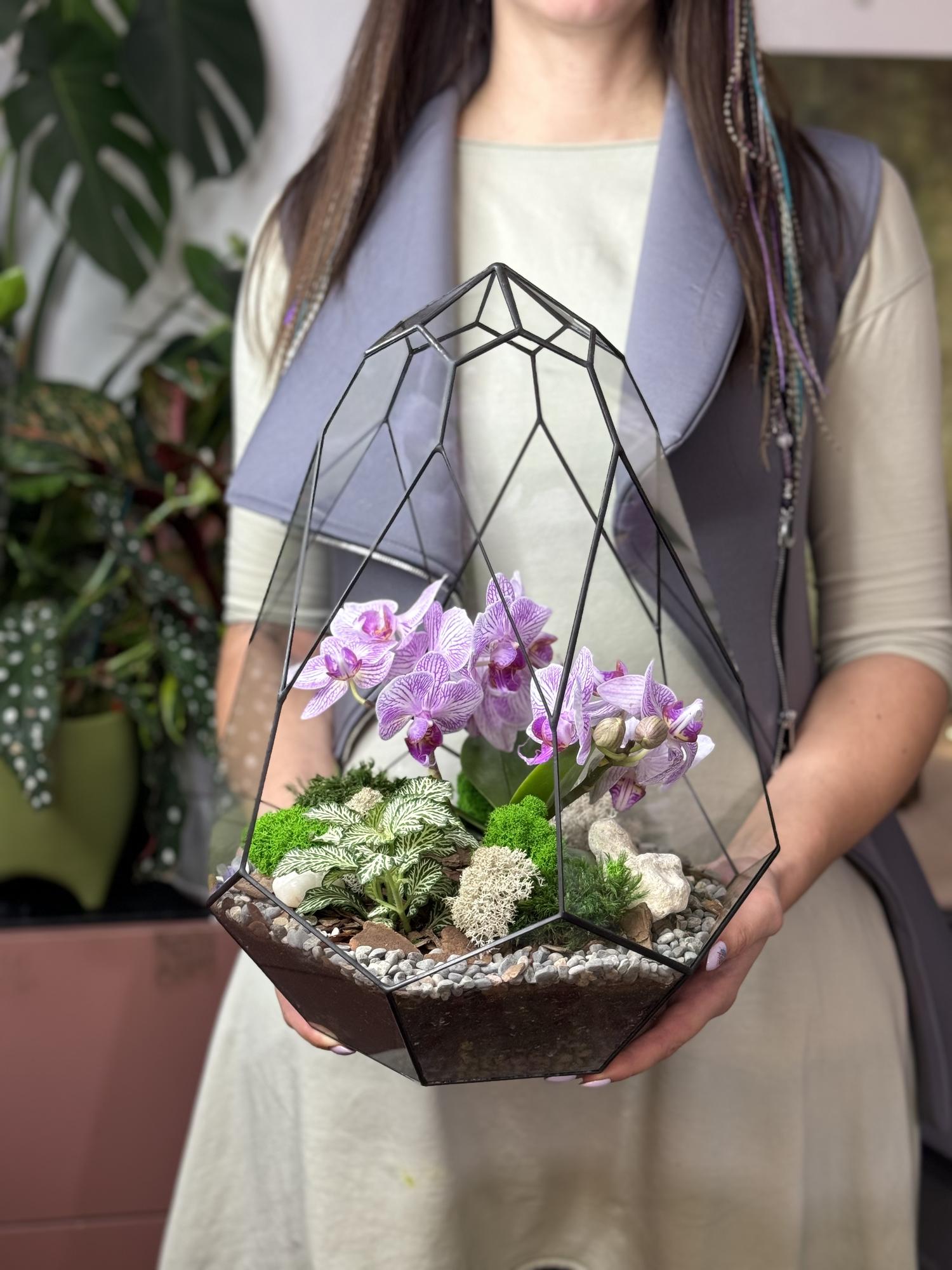 Орхидариум Сириус S Pink