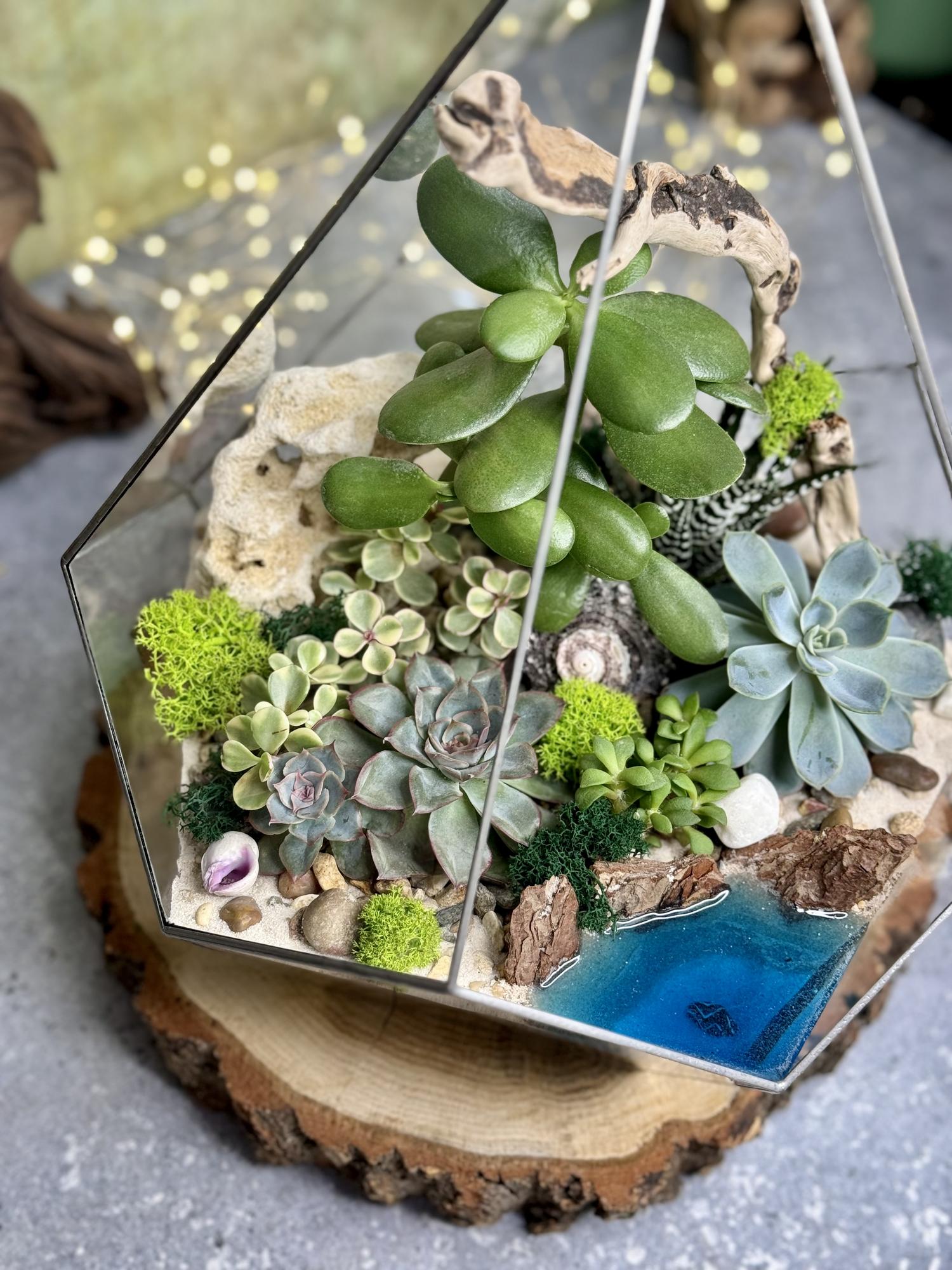 Капля XL с суккулентами и озером