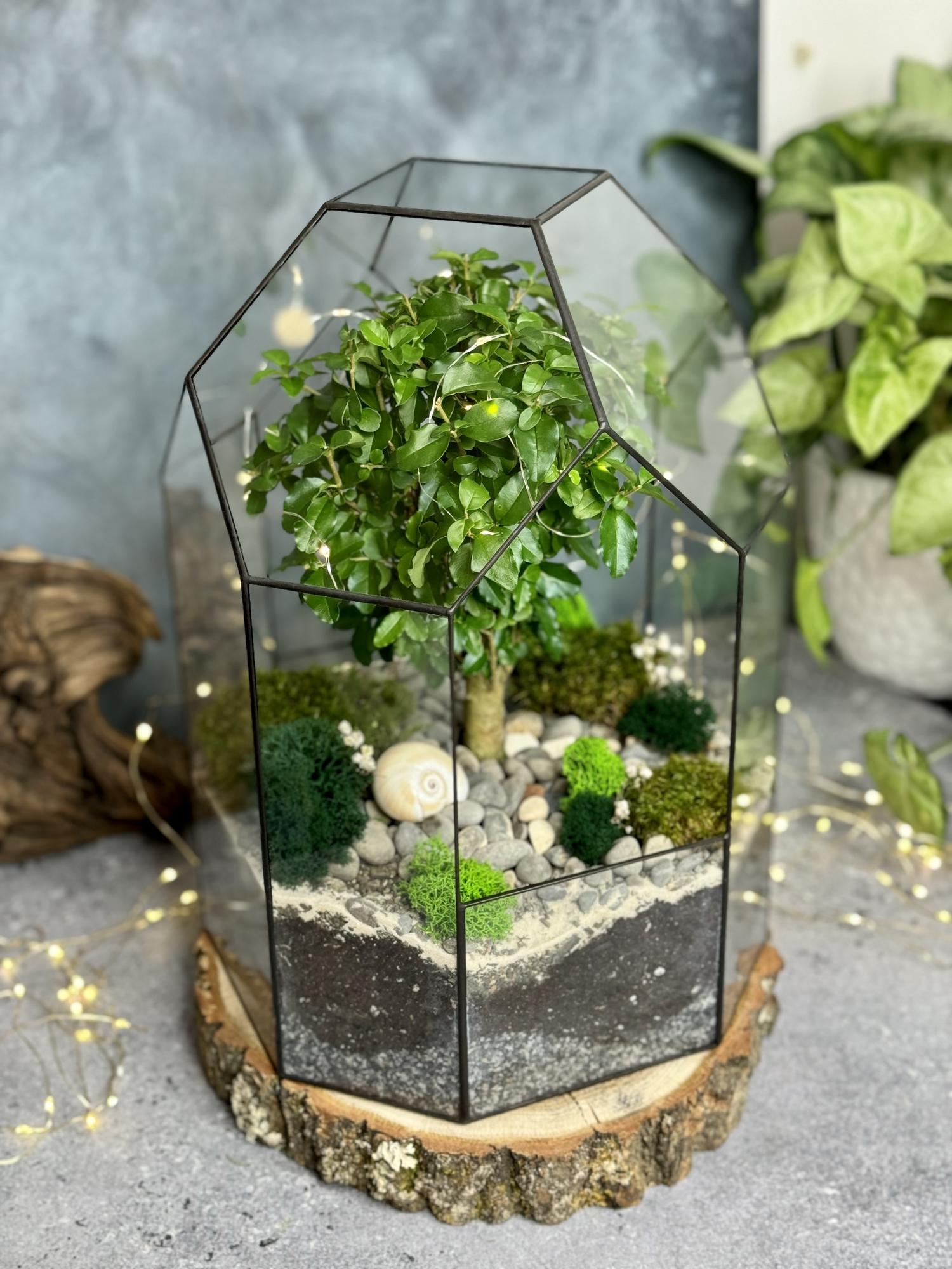 Бонсариум 35 см. с деревцем Лигиструм