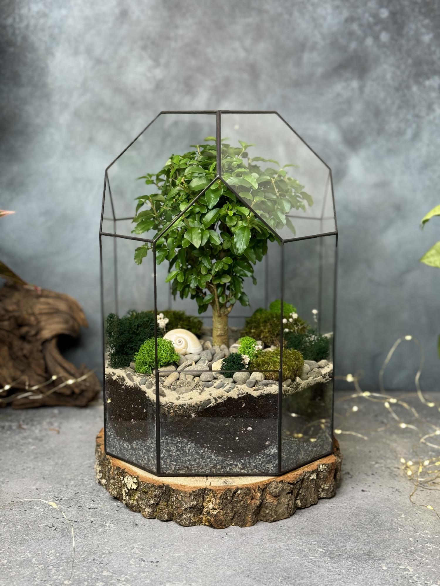 Бонсариум 35 см. с деревцем Лигиструм