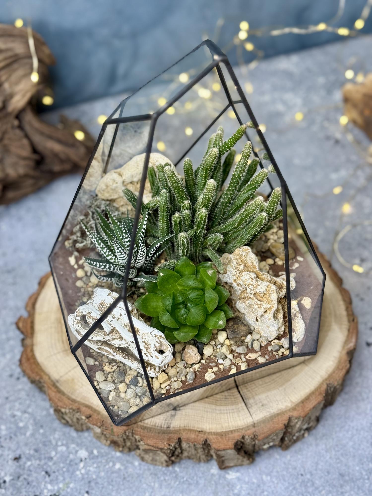 Скала с суккулентами и фигуркой Череп