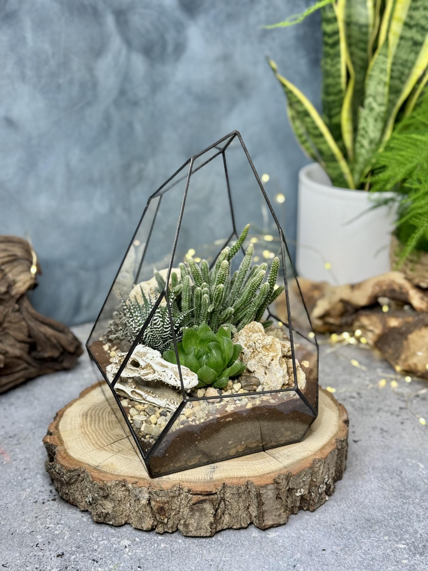 Скала с суккулентами и фигуркой Череп