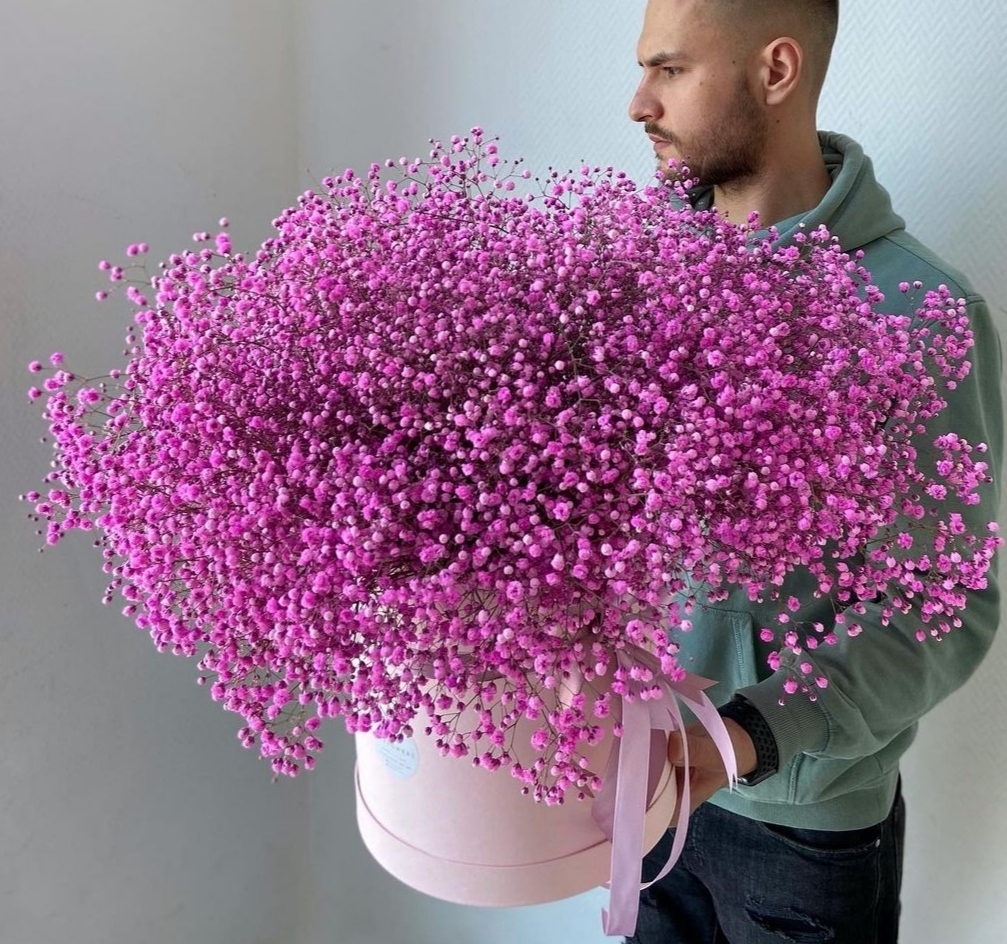 Малиновая гипсофила в коробке