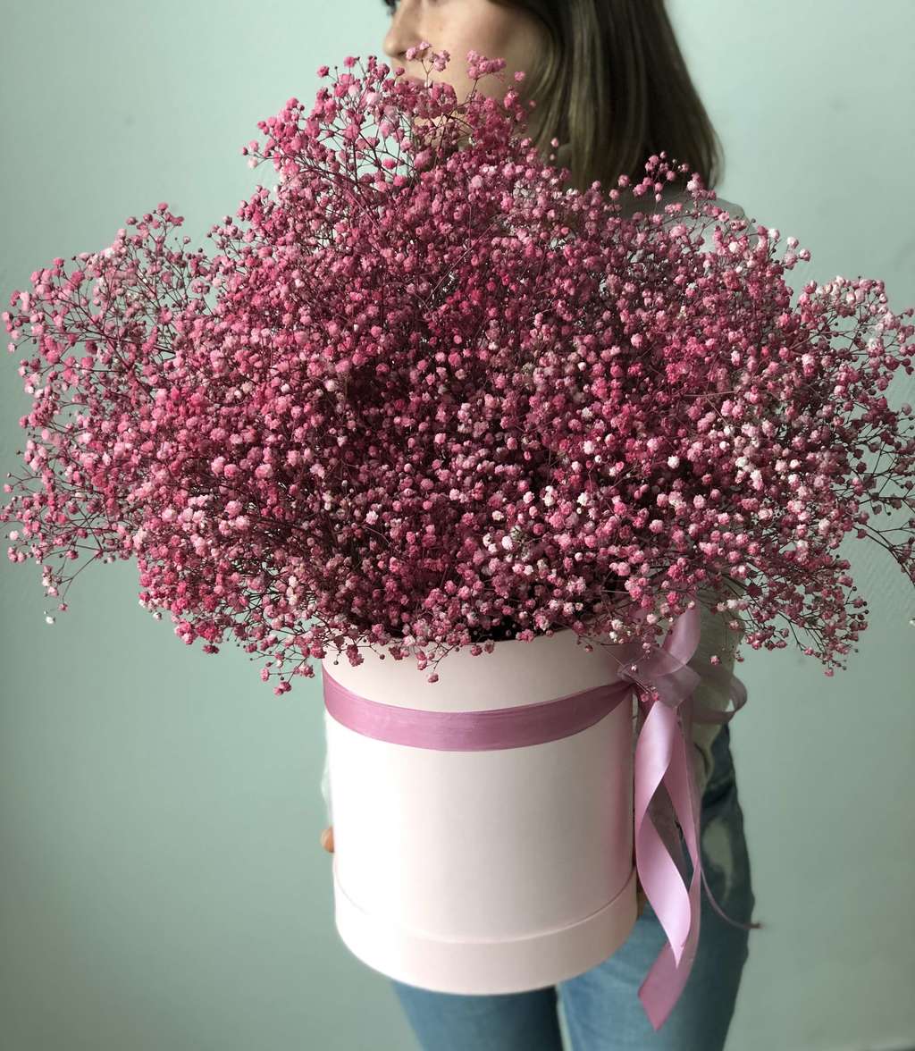 Красная гипсофила в коробке