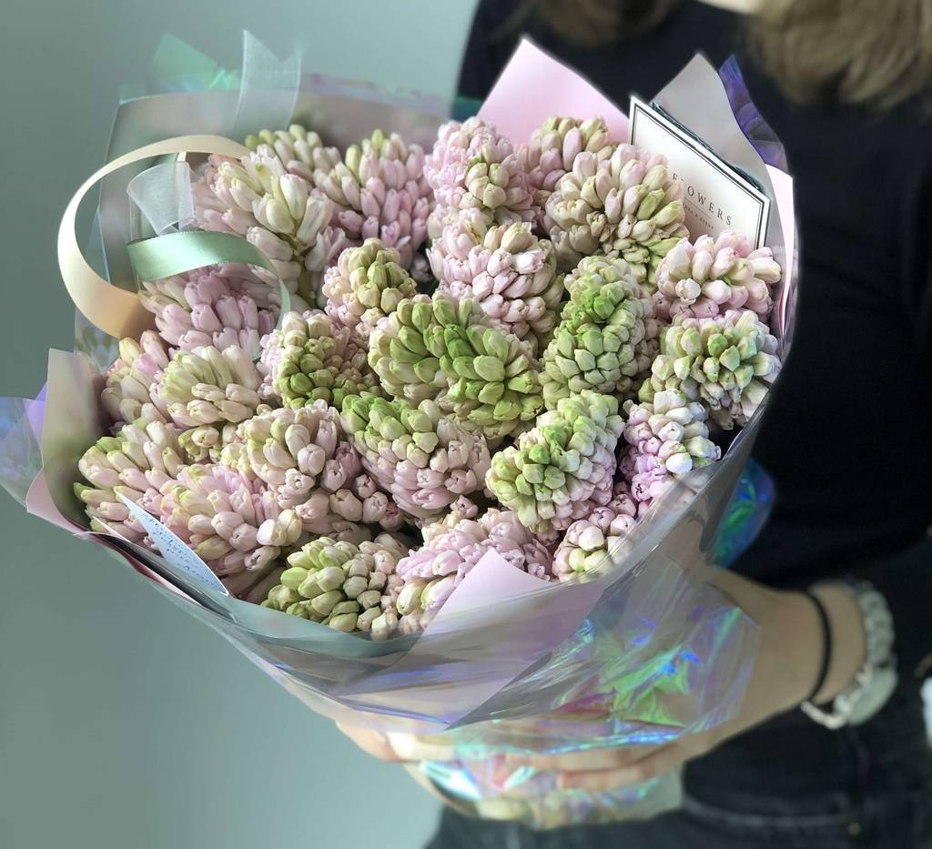 Гиацинты розовые