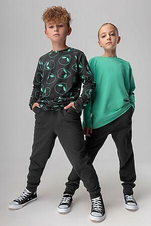 Брюки BODO серый