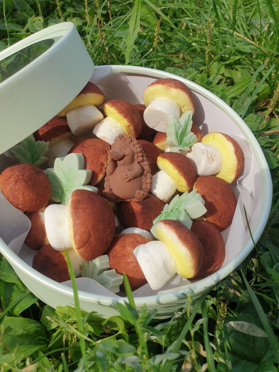 Грибы из зефира с шоколадным декором на 1 сентября или день учителя