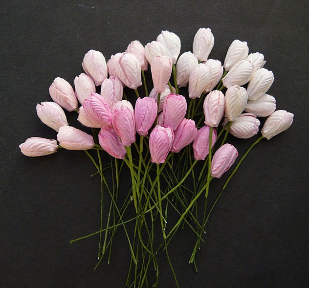 Wild Orchid,тюльпан,MKX-143