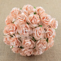 Wild Orchid,розы,QVR-060