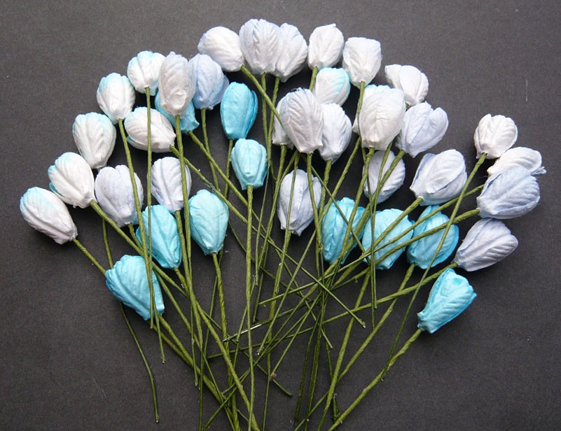 Wild Orchid,тюльпан,MKX-146