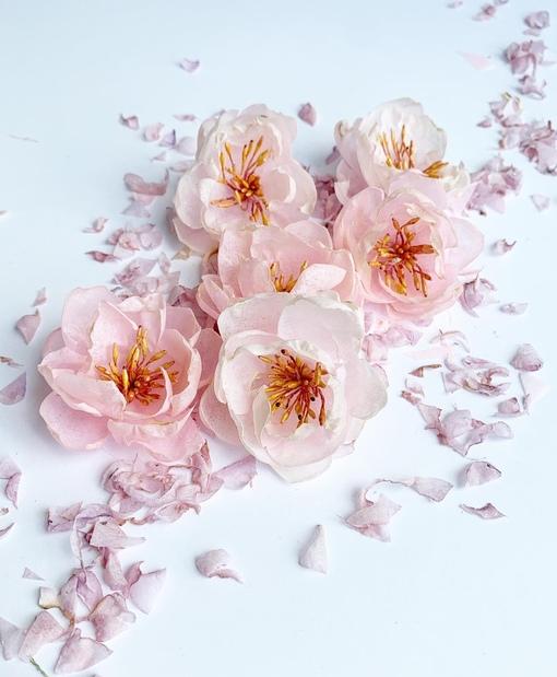 *The TEA Garden/Пионы/розовые