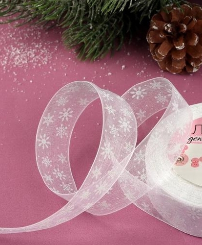 *Лента капроновая/1